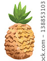 Watercolor style vector illustration of pineapple on white background. 138853103