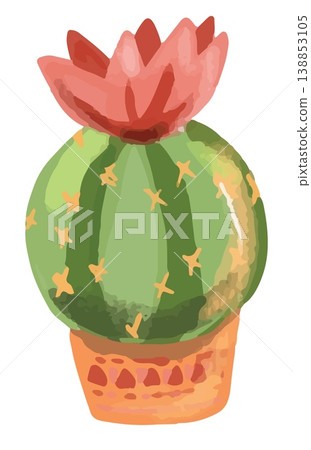 Watercolor style vector illustration of green blooming cactus succulent in pot single on white background Watercolor style vector illustration of green blooming cactus succulent in pot single on white background 138853105