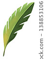 Watercolor style vector illustration of green palm leaf single on white background 138853106