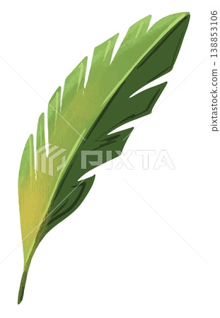 Watercolor style vector illustration of green palm leaf single on white background Watercolor style vector illustration of green palm leaf single on white background 138853106