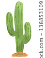 Watercolor style vector illustration of green cactus succulent single on white background 138853109