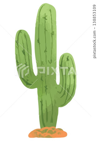 Watercolor style vector illustration of green cactus succulent single on white background Watercolor style vector illustration of green cactus succulent single on white background 138853109