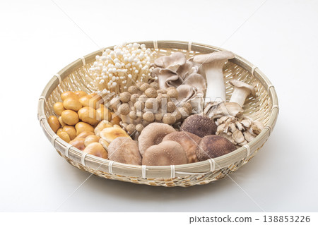 各種蘑菇,不同種類的蘑菇,圖片素材 各種蘑菇,不同種類的蘑菇,圖片素材 138853226