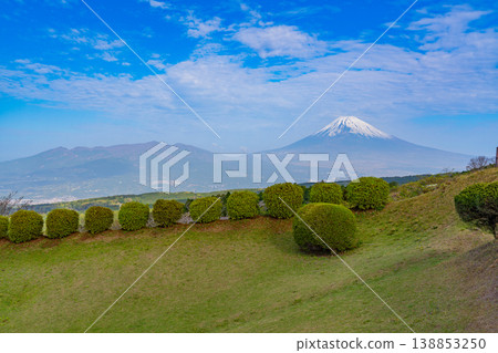 【靜岡縣三島市】春天的山中城遺址公園,背景是富士山。 【靜岡縣三島市】春天的山中城遺址公園,背景是富士山。 138853250