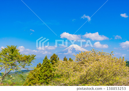 【靜岡縣三島市】春天的山中城遺址公園,背景是富士山。 【靜岡縣三島市】春天的山中城遺址公園,背景是富士山。 138853253