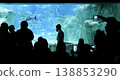Large Aquarium with Sharks and Visitors Watching Marine Life 138853290