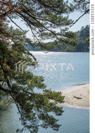 Pine branches with the sea of Matsushima in the background Pine branches with the sea of Matsushima in the background 138853329