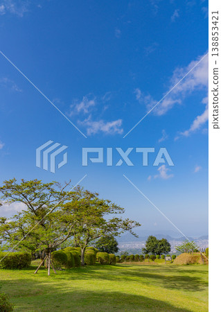 【靜岡縣三島市】春天的山中城遺址公園，背景是三島的城鎮風景。 138853421