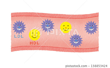 An illustrated explanation of blood vessels and cholesterol levels using LDL and HDL (Health and Medicine) An illustrated explanation of blood vessels and cholesterol levels using LDL and HDL (Health and Medicine) 138853424