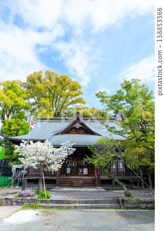 Kumamoto Grand Shrine in Spring, Kumamoto City, Kumamoto Prefecture Kumamoto Grand Shrine in Spring, Kumamoto City, Kumamoto Prefecture 138853566