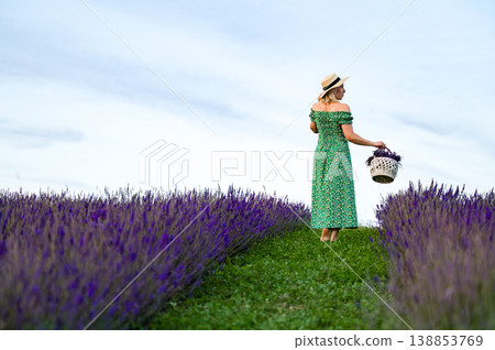 Woman in green dress walking through a lavender field, carrying a basket of flowers. Woman in green dress walking through a lavender field, carrying a basket of flowers. 138853769