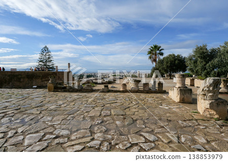 突尼斯，迦太基遺址，比爾薩山 138853979