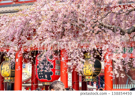 東京的櫻花 - 淺草寺 東京的櫻花 - 淺草寺 138854450