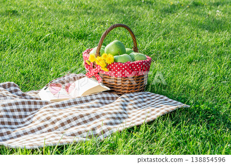 Picnic setup on grass with basket and book Picnic setup on grass with basket and book 138854596