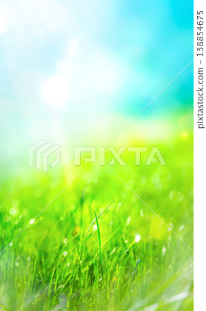 green natural grass background with sun rays, vertical walpaper green natural grass background with sun rays, vertical walpaper 138854675