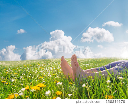 spring landscape with blue sky and white flowers spring landscape with blue sky and white flowers 138854678