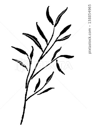 A hand-drawn, monochrome illustration of a eucalyptus branch with slender leaves spreading diagonally. A hand-drawn, monochrome illustration of a eucalyptus branch with slender leaves spreading diagonally. 138854965