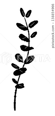 A hand-drawn, monochrome illustration of a branch with a series of small, round eucalyptus leaves. A hand-drawn, monochrome illustration of a branch with a series of small, round eucalyptus leaves. 138854966