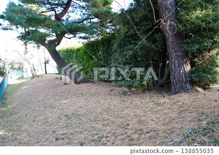 Junō Castle 07 Earthwork 138855035