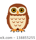 貓頭鷹的插圖 138855255