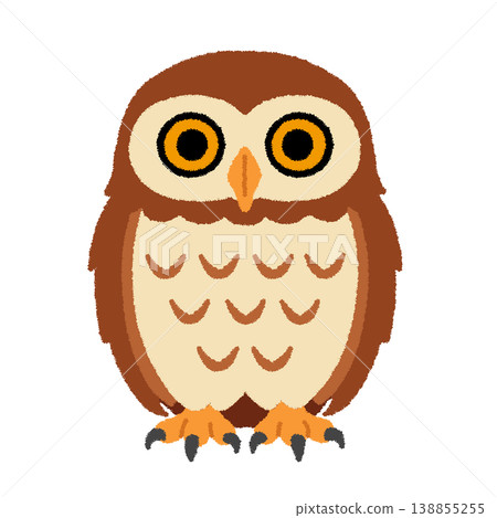 貓頭鷹的插圖 138855255