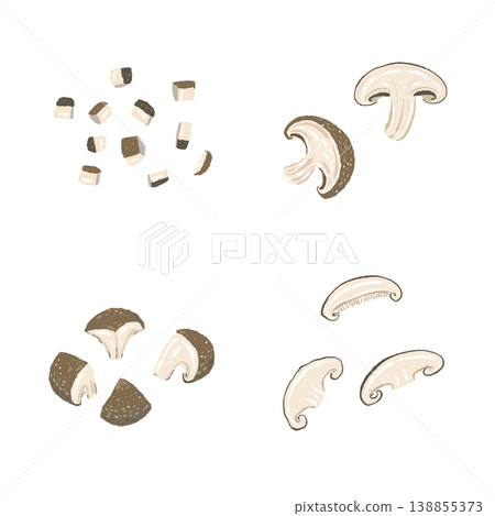 Illustrations of shiitake mushrooms cut in various ways 138855373