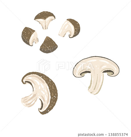 Illustration of sliced shiitake mushrooms arranged 138855374