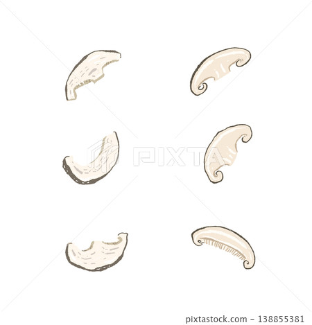 散落的切片香菇（變種） 138855381