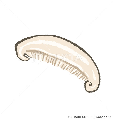 切片香菇（單片，直切） 138855382