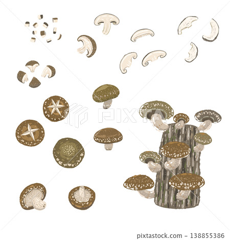 香菇組合裝（菌絲、菌片、裝飾切塊） 138855386