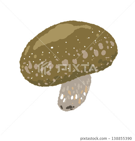 香菇插圖（完整及不同角度）。 138855390