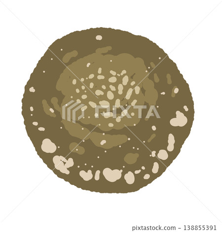 Illustration of a whole shiitake mushroom (from directly above). 138855391