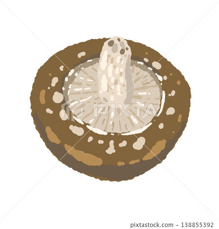 Illustration of a shiitake mushroom (underside/top view) 138855392