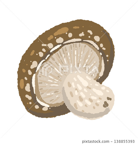 香菇插圖(底部,傾斜角度) 香菇插圖(底部,傾斜角度) 138855393