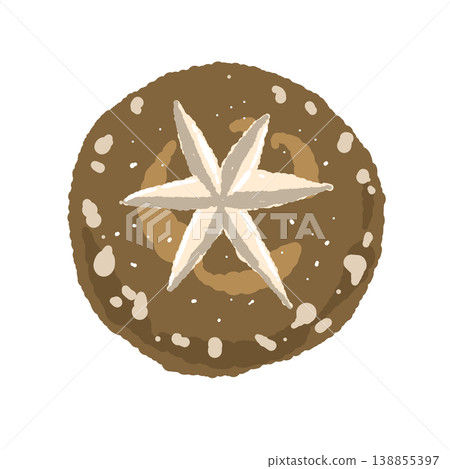 Illustration of decorative-cut shiitake mushrooms (star-shaped, top view) 138855397