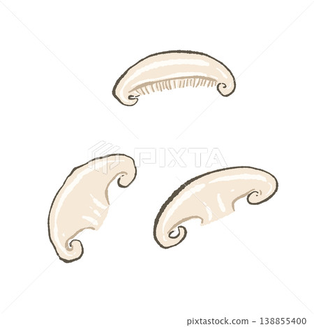 Illustration of a set of sliced shiitake mushrooms Illustration of a set of sliced shiitake mushrooms 138855400