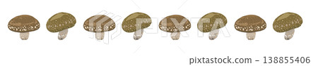 Shiitake mushroom line decoration/decorative border 138855406