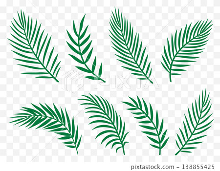 Green palm tropical set palm leaves and branches 138855425