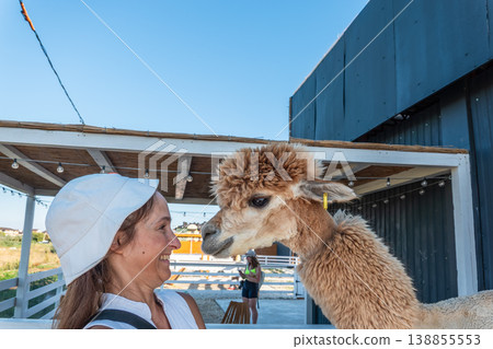 Moment of interaction between a human and an alpaca 138855553