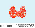 Thyroid gland on blue background. Medical concept of endocrine system, hormone regulation, and human health. 138855762