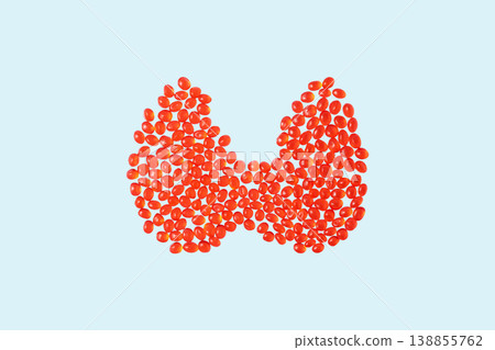 Thyroid gland on blue background. Medical concept of endocrine system, hormone regulation, and human health. Thyroid gland on blue background. Medical concept of endocrine system, hormone regulation, and human health. 138855762