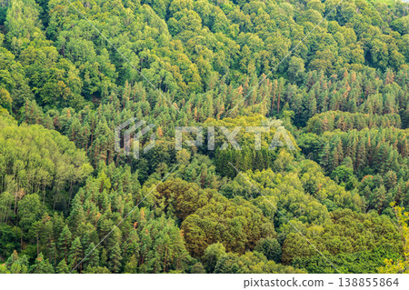 Summer Mountains Landscape with Green forest. 138855864