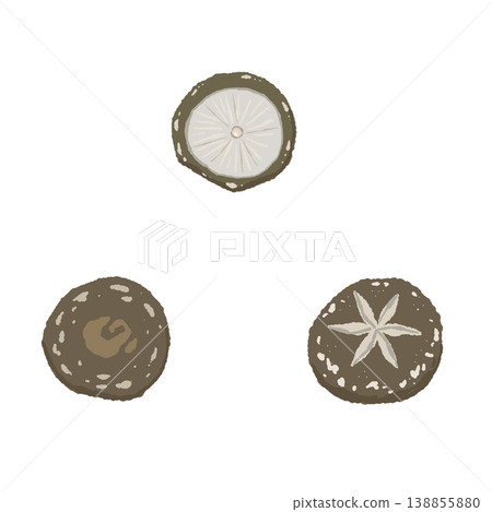 Shiitake mushroom set (top view, decorative cuts) 138855880