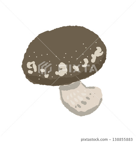 香菇全貌示意圖（從對角線角度觀察）。 138855883