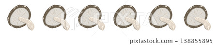 Shiitake mushroom line decoration/decorative border (directly above) 138855895