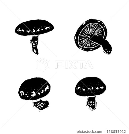 整株香菇（多角度，單色） 138855912