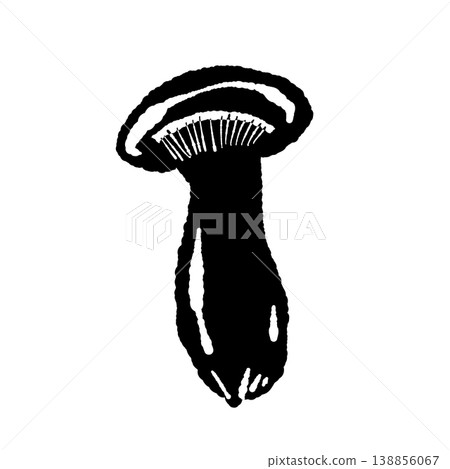 Illustration of an eringi mushroom (whole, diagonally, monochrome) Illustration of an eringi mushroom (whole, diagonally, monochrome) 138856067