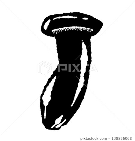 Illustration of a whole king oyster mushroom (front view, monochrome) Illustration of a whole king oyster mushroom (front view, monochrome) 138856068