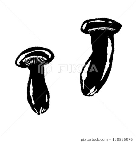 兩朵杏鮑菇的插圖（完整、分離、單色）。 138856076