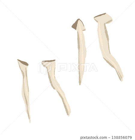 A set of hand-torn king oyster mushrooms A set of hand-torn king oyster mushrooms 138856079